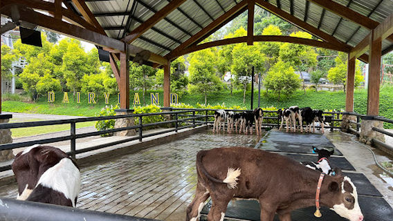 Cimory Dairyland Farm Theme Park Puncak
