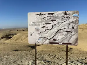 Paleontologico Los Dedos Park