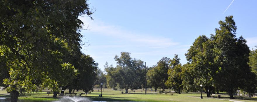 Orchard Park