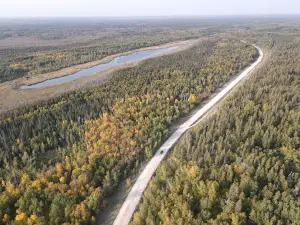 Sandilands Provincial Forest