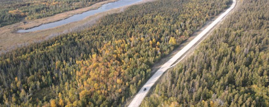 Sandilands Provincial Forest