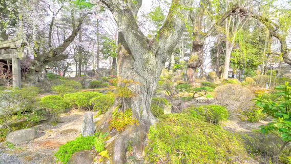関川寺