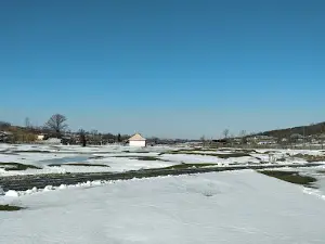 Stadion Lungani