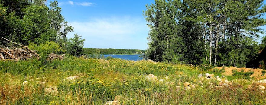 Savanna State Forest
