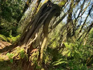Wildwood Park