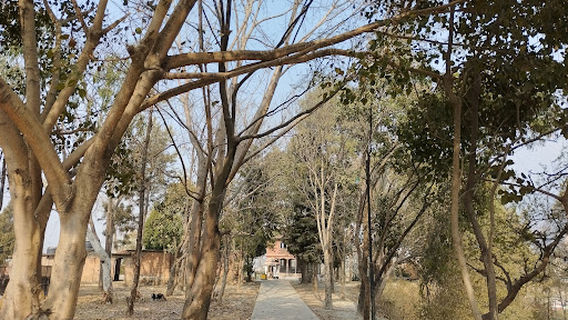 Godawari