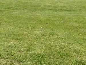 Crestwood Hills Golf Course