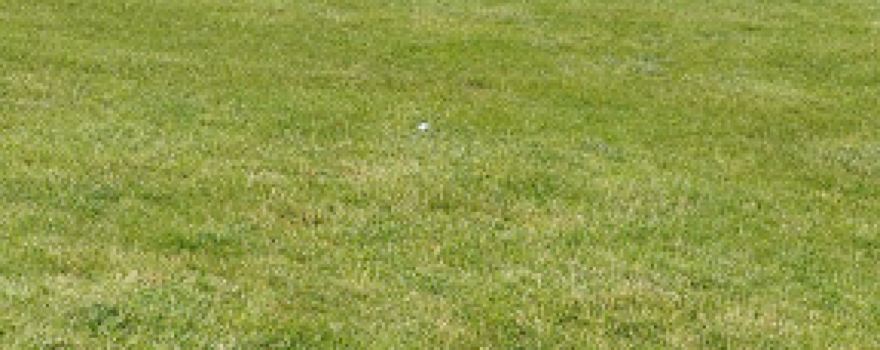 Crestwood Hills Golf Course
