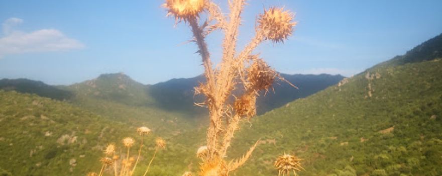 Villaggio nuragico di Abini