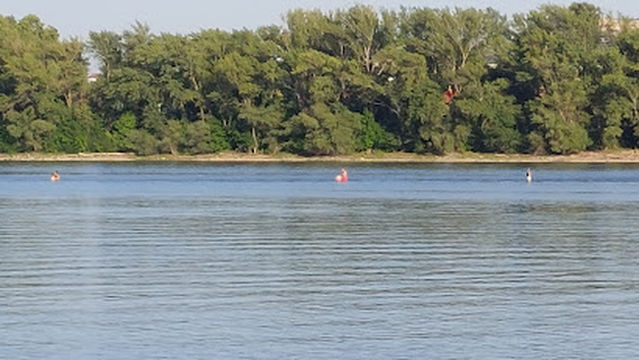 Pláž pri Dunaji oproti Močanskému ostrovu