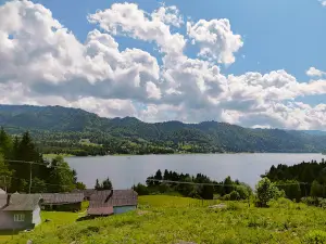 Coada lacului Colibița