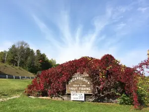 Cedarbrook Trout Farms
