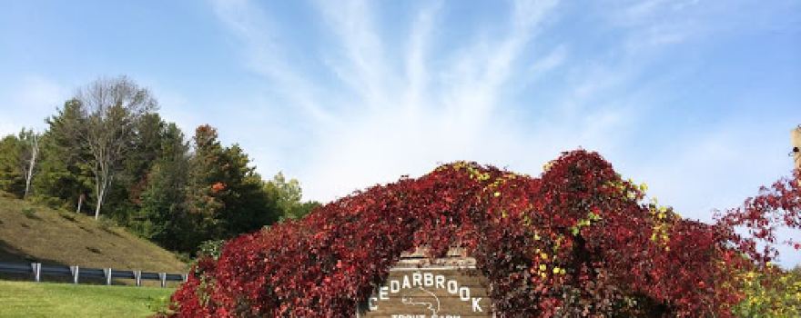Cedarbrook Trout Farms