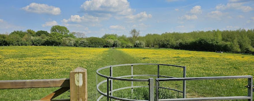 Pishiobury Park