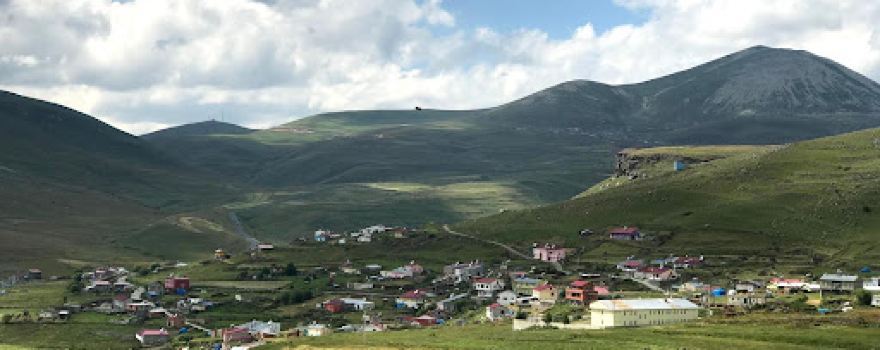 Gezi Parkı Seyitören