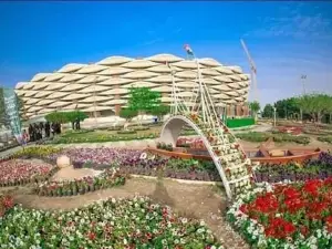 Palm Trunk Stadium