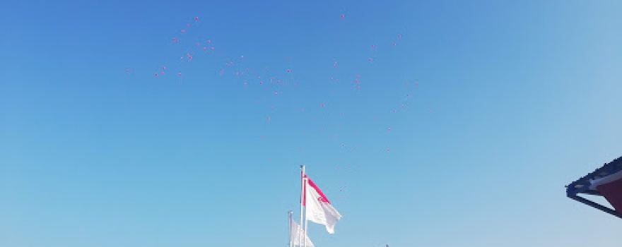 Stadyum