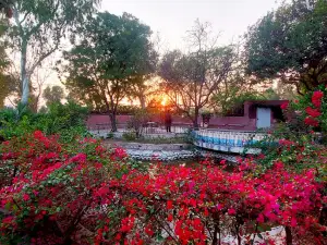 Nankana (Lake) Resort