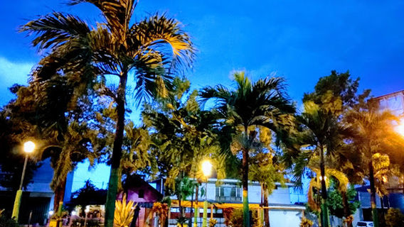 Taman Bunga Pamolokan