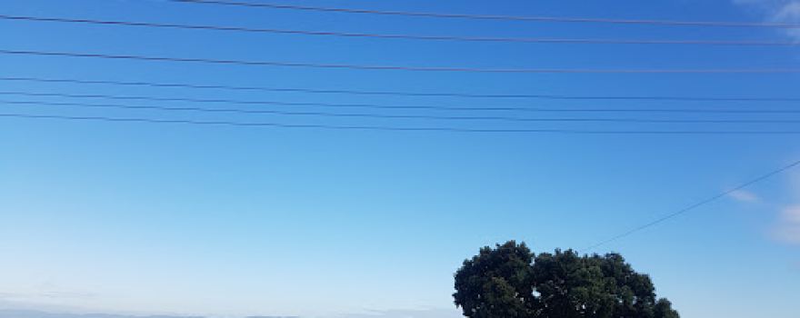 Ngarimu Bay