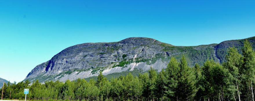 Furuly Camping