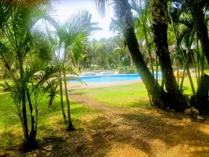 Mangais Ecoturismo