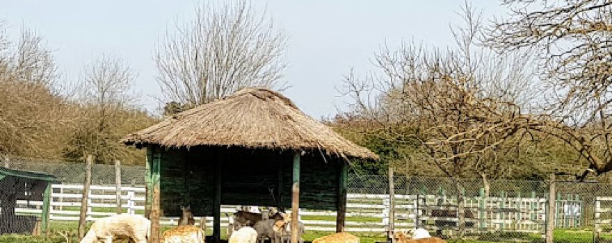 Granja Don Mario