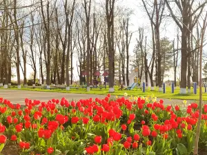 Park named 70 Years of Victory