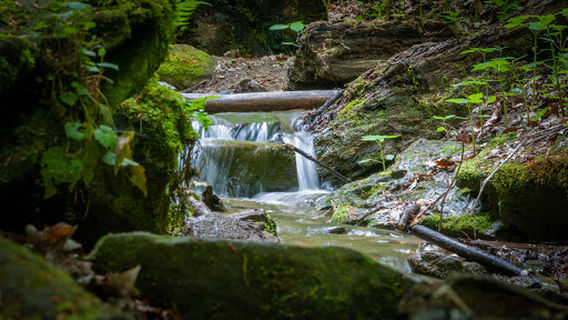 Big Lyons Falls