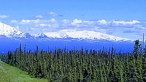 Matanuska Glacier Viewing