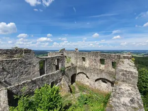 Ruine der Burg Bramberg