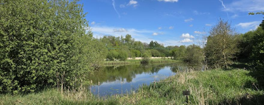 Foxearth Meadows Nature Reserve
