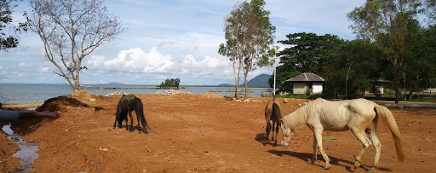 Tanjung Baja