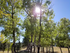 Beaver Ranch Community Inc