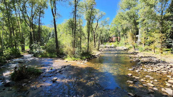 Aspen