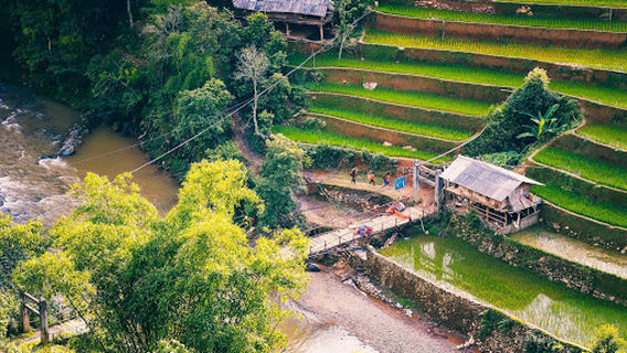 Mũi Giày