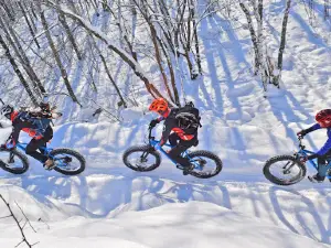 Day Tripper of Duluth