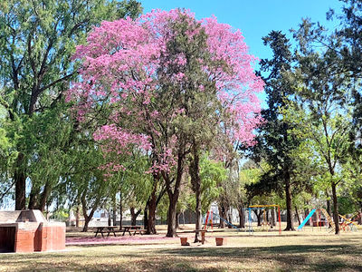Balneario Municipal