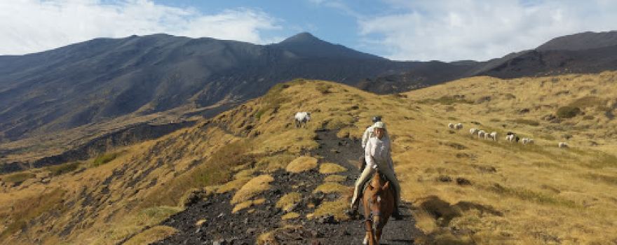 Sicily Horse Adventure