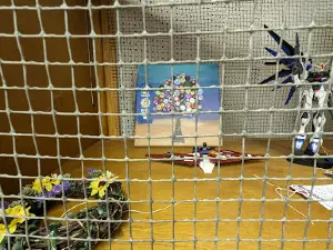 Red River County Fair