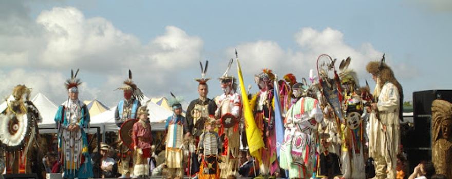 Bisons Du Poitou