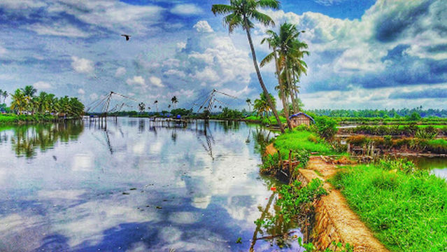 Sphere Tree - Kadamakkudi