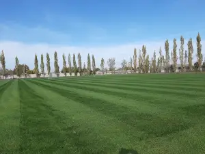 Farsala Football Stadium
