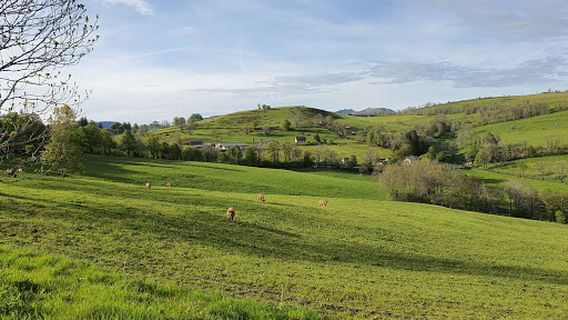 SAEM Lioran Développement