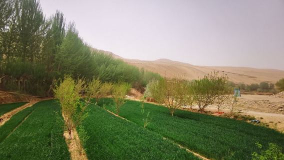 Luopu County Qianshan Valley Tourist Scenic Area