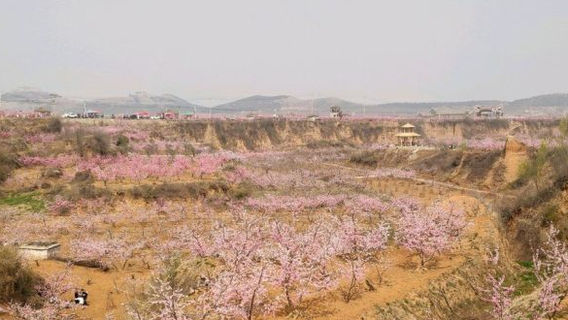 zhong yang tao xing feng jing qu