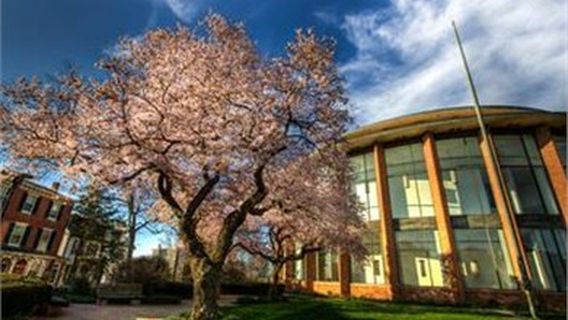 qing dao shi ji mo qu tu shu guan