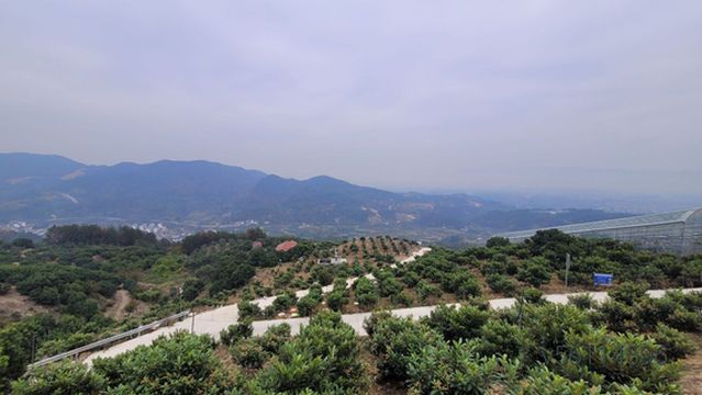 bai lu shan hua xiang san fei xing ying di