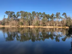 The Grand Etang La Jemaye