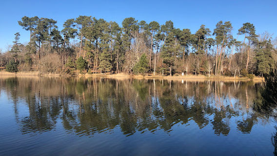 The Grand Etang La Jemaye